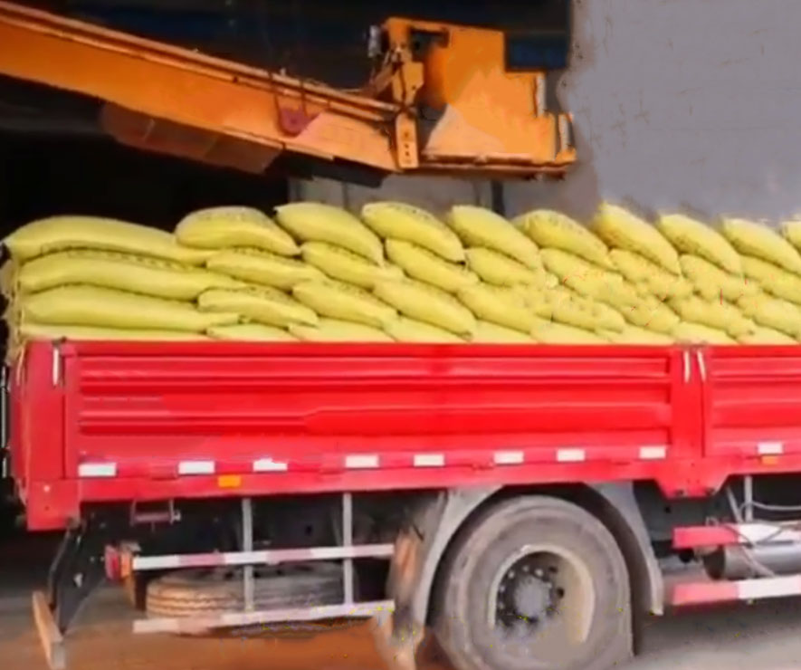 自動裝車(chē)機 碼垛裝(zhuāng)車機